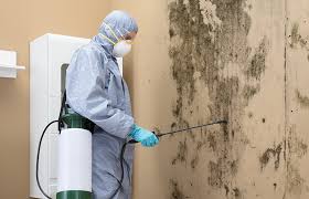 Diamond, IL Mold Removal & Remediation Company